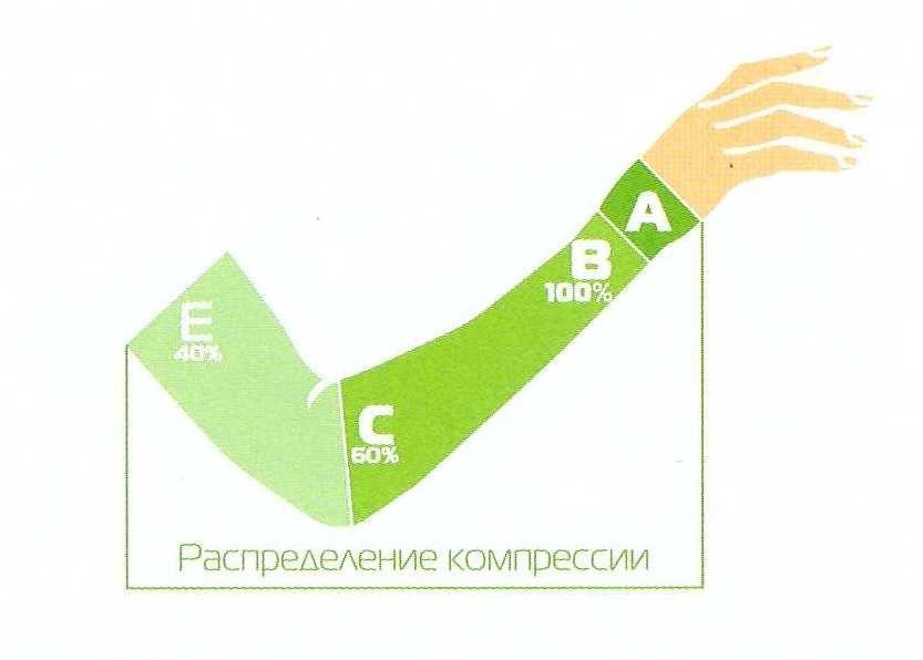 c1844_1.jpg c1844_1.jpg