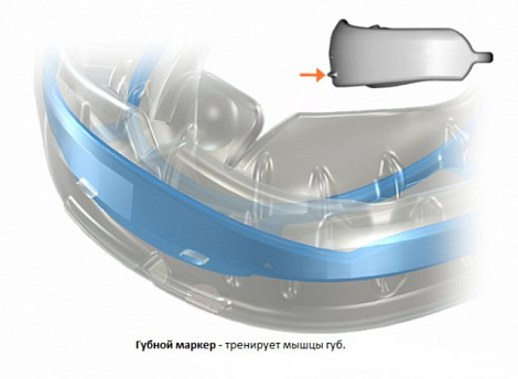 МВ5 Трейнер Миобрайс МВ5