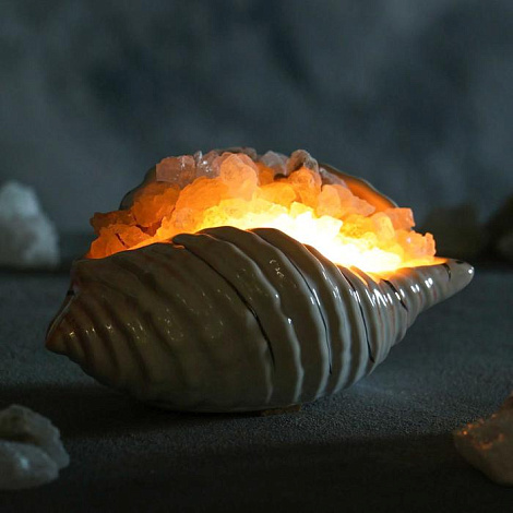 Лампа соляная "Раковина перламутр" 17см