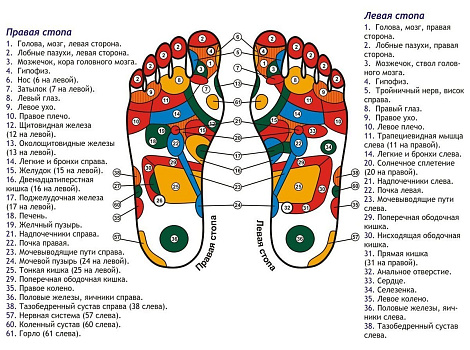  Тапочки массажные Forio (ИМ)