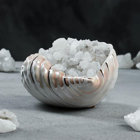 Лампа соляная "Раковина перламутр" 17см