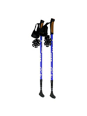 Палки для скандинавской ходьбы Star Walker (телескопические)